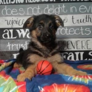 Meet your Posher, Tiara